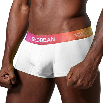 Cotton Boxer Briefs – 4 Colours | M–2XL | Gradient Waistband