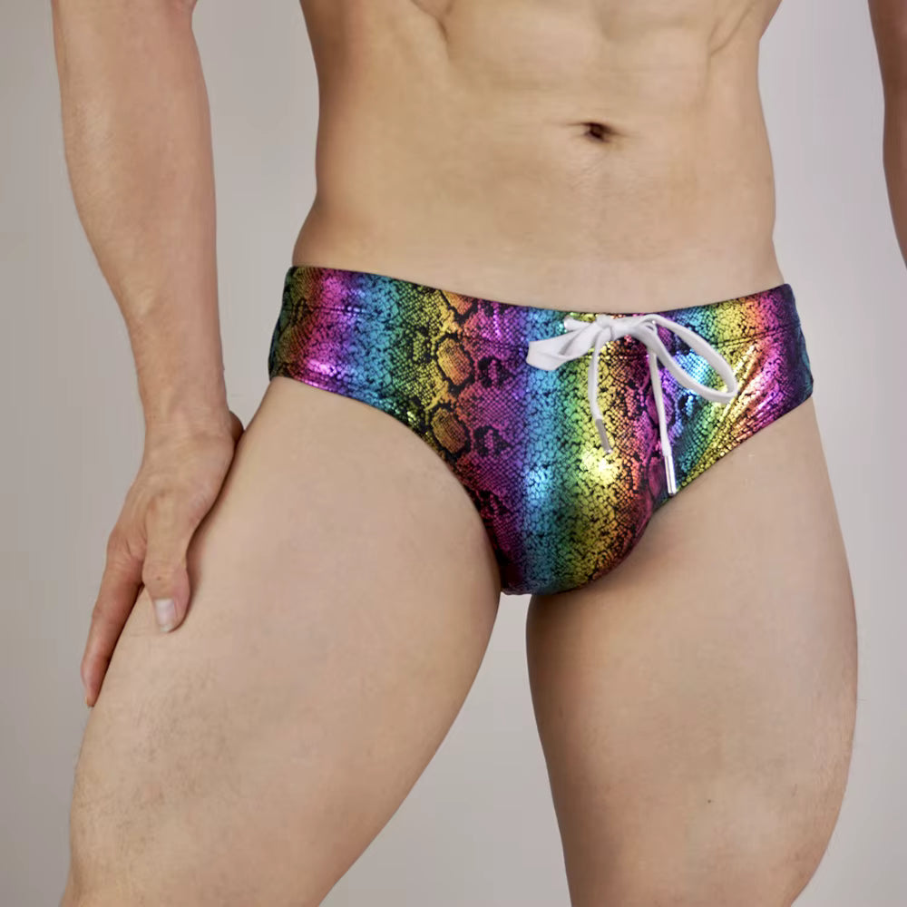 Metallic Swim Brief – 5 Colours | M–XL | Nylon & Lycra