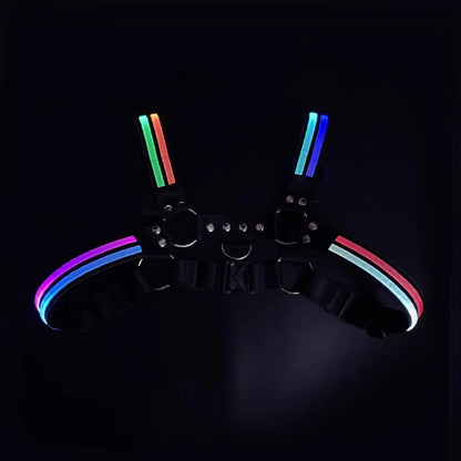 LED Light-Up Body Harness – 6 Colours | One Size | Nylon